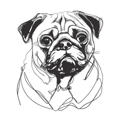 illustration of a  pug dog  line art vector