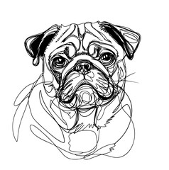 illustration of a  pug dog  line art vector