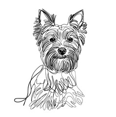 illustration of a  Yorkshire Terrier  line art vector