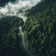 Aerial View of Winding Mountain Road Through Fog-Covered Forest: Stunning Landscape Photography