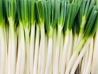 たくさんの長ネギ　陳列　野菜
