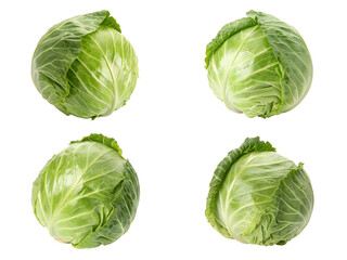 Fototapeta premium Cabbage set, Set of cabbages, and cabbages isolated