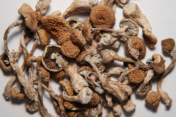 Heap of mushrooms lies on white background. Dry psilocybin psychedelic magic shrooms Golden Teacher. Top view, flat lay, close up. Medical recreational usage