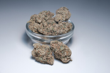 Marijuana buds closeup. Hemp recreation, alternative herbal therapy, contemporary medical use, marihuana legalization. Medicinal CBD cannabis flowers on white background.