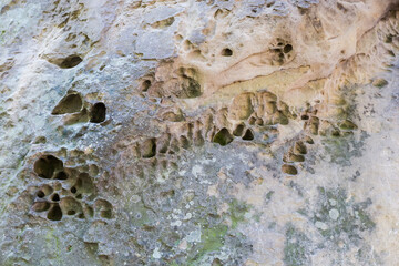 Weathered surface of sandstone rock in shade