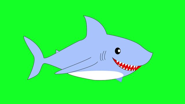 shark cartoon animation green screen.