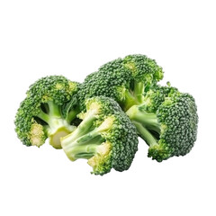 Fresh broccoli bunch ready for a healthy meal preparation