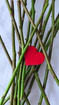 The red heart is among the rose stalks. Abusive or codependent relationships concept. Toxic relations. Abuse.