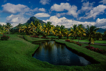 Fototapeta premium Tropical garden with palm trees, grass, pond against mountain and fluffy clouds. Scenery of Mauritius island, Indian Ocean.