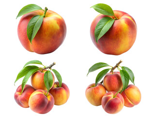 Set of peaches, a Set of peach fruit collections isolated