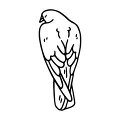a black and white drawing of a cute pigeon cartoon illustration