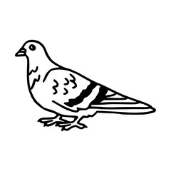 a black and white drawing of a cute pigeon cartoon illustration