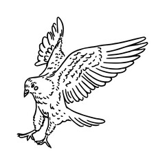 a black and white drawing of a cute pigeon cartoon illustration