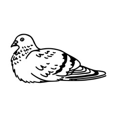 a black and white drawing of a cute pigeon cartoon illustration