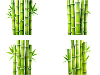 Obraz premium Bamboo set, Set of green bamboo, Sweet bamboo collection, Bamboo set isolated