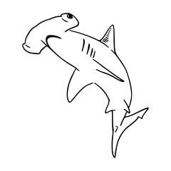 a line art drawing of a hammerhead shark fish for coloring pages