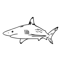 a line art drawing of a shark fish for coloring pages