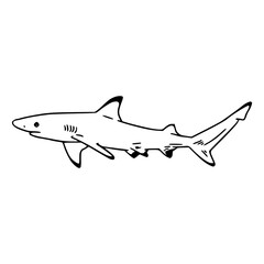 Fototapeta premium a line art drawing of a shark fish for coloring pages