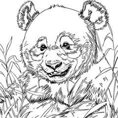 Panda in Bamboo Illustration – Hand Drawn Black and White Wildlife Animal Line Art for Poster, Logo, Tattoo, or Educational Design