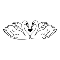 a black and white drawing of a romantic swans design © Zen20