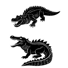 Obraz premium Alligator and Crocodile Illustrations