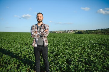 A farmer inspects a green soybean field. The concept of the harvest