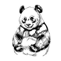 Panda Bear Full Body Illustration – Hand Drawn Black and White Wildlife Animal Line Art for Tattoo, Logo, Poster, or Educational Design