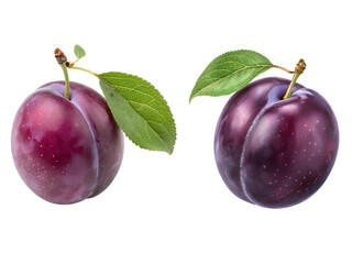 Plum fruits, a Set of fruits with leave collections isolated