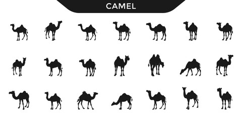 A collection of  camel silhouettes in various poses. Ideal for wildlife and desert-themed designs.