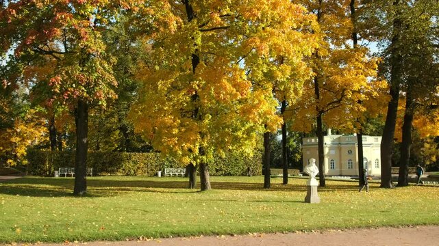 sculptures and yellow trees in autumn Catherine Park, Pushkin city