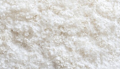 Fototapeta premium White Floral Background with Delicate Blooms and Soft, Airy Gypsophila Clusters