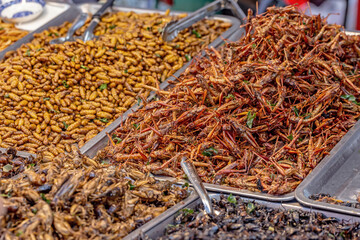 Fried insects, Bugs fried on Street food in thailand