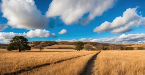 Obraz premium Golden grass fields stretching out under a vibrant blue sky with clouds, a nature pathway leading towards scenic rolling hills with scattered trees, capturing a peaceful and serene rural landscape