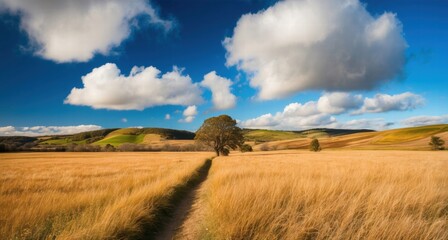 Golden grass fields stretching out under a vibrant blue sky with clouds, a nature pathway leading towards scenic rolling hills with scattered trees, capturing a peaceful and serene rural landscape