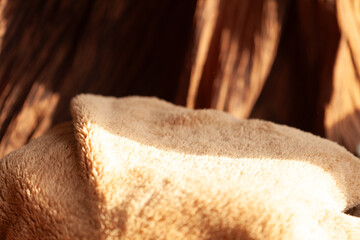 Warm and inviting textured surface in soft hues, suggesting comfort and relaxation, illuminated by gentle natural light.