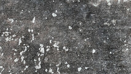 数百万年前の地層、地層の風景素材、岩肌の背景素材、半化石の表出する岩肌の風景