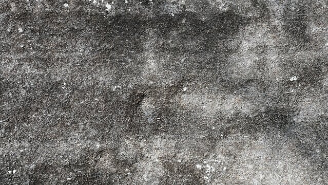 数百万年前の地層、地層の風景素材、岩肌の背景素材、半化石の表出する岩肌の風景
