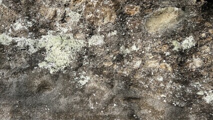 数百万年前の地層、地層の風景素材、岩肌の背景素材、半化石の表出する岩肌の風景