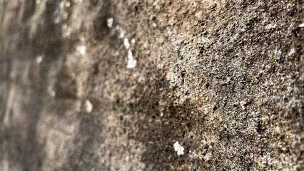 数百万年前の地層、地層の風景素材、岩肌の背景素材、半化石の表出する岩肌の風景