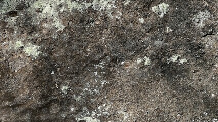 数百万年前の地層、地層の風景素材、岩肌の背景素材、半化石の表出する岩肌の風景