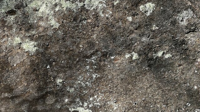 数百万年前の地層、地層の風景素材、岩肌の背景素材、半化石の表出する岩肌の風景