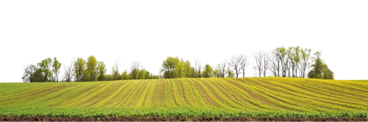 PNG Hilly spring farm fields landscape outdoors scenery.