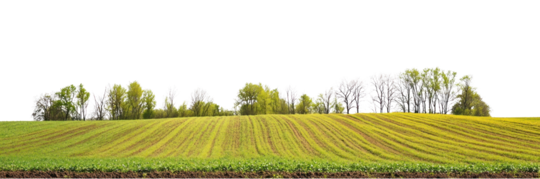 PNG Hilly spring farm fields landscape outdoors scenery.