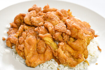 Thai omelette with rice on a plate. Popular Thai food.