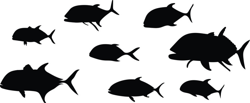 Silhouette giant trevally fish isolated on white background, vector illustration