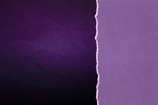 Abstract Torn Paper Textured Background. Purple template for International Women's Day.