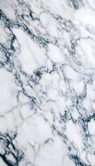 White marble background with intricate dark gray veins
