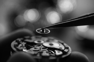 Man's hands repairing old watch, holding a part with tweezer.
