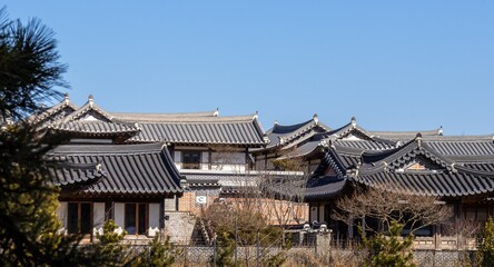 I look at the Hanok Resort, a traditional Korean house, from a distance.