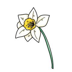 Hand-Drawn Daffodil Clipart Set – 14 PNG Floral Illustrations